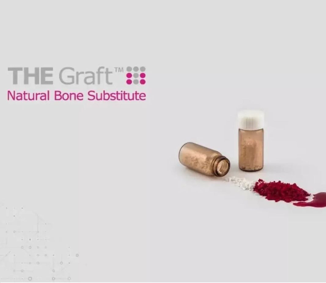Кістка THE Graft 4.8 куб. см (0.25mm - 1mm) 2 g  (кістка свиняча-дрібна фракція) КОРЕЯ